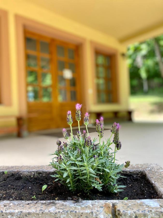 Szelcepuszta Vadaszhaz Otel Dış mekan fotoğraf